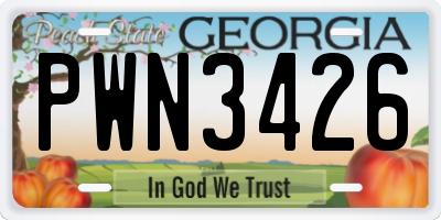 GA license plate PWN3426