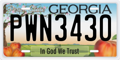 GA license plate PWN3430