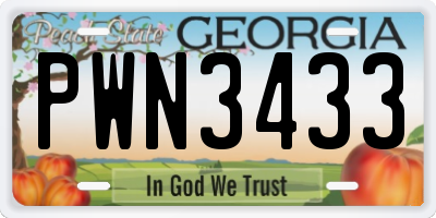 GA license plate PWN3433
