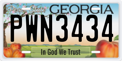 GA license plate PWN3434