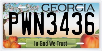 GA license plate PWN3436