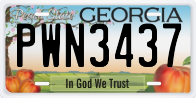 GA license plate PWN3437