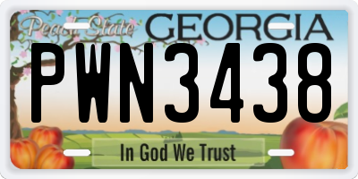 GA license plate PWN3438