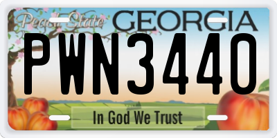 GA license plate PWN3440