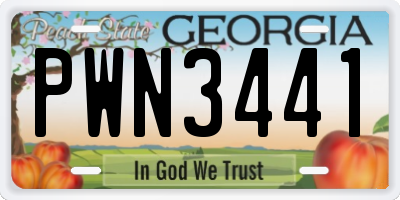 GA license plate PWN3441