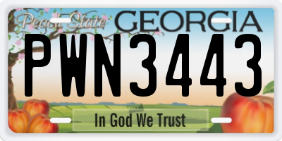 GA license plate PWN3443