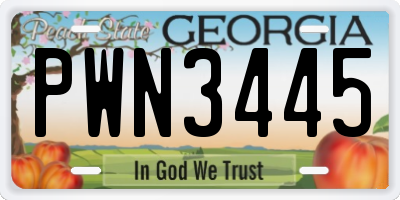 GA license plate PWN3445