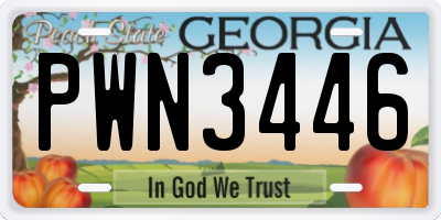 GA license plate PWN3446
