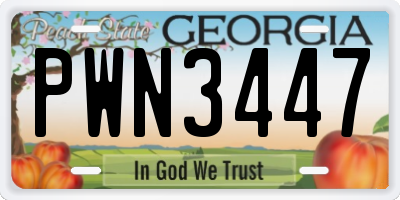 GA license plate PWN3447