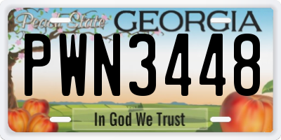 GA license plate PWN3448