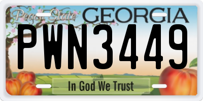 GA license plate PWN3449