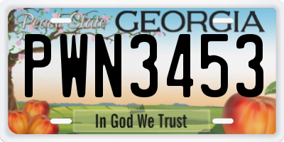 GA license plate PWN3453