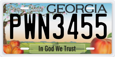 GA license plate PWN3455