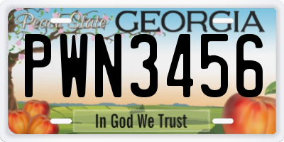 GA license plate PWN3456
