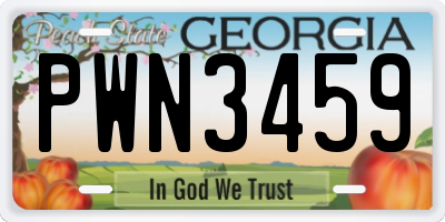 GA license plate PWN3459