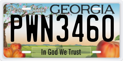 GA license plate PWN3460