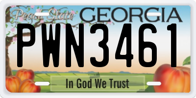 GA license plate PWN3461