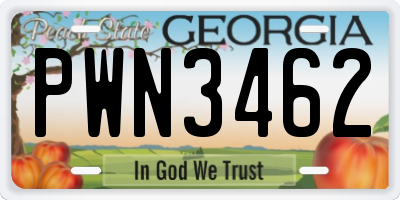 GA license plate PWN3462