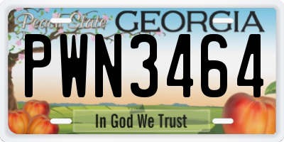 GA license plate PWN3464
