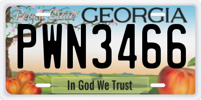 GA license plate PWN3466