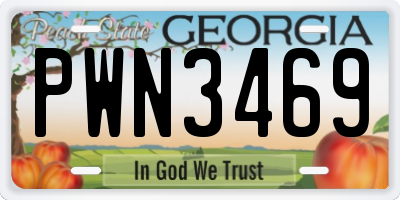 GA license plate PWN3469