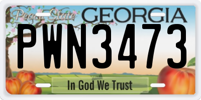 GA license plate PWN3473