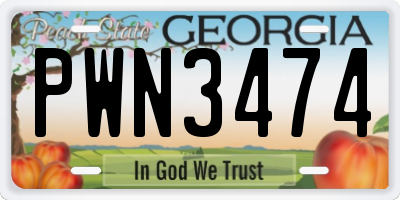 GA license plate PWN3474