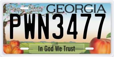 GA license plate PWN3477
