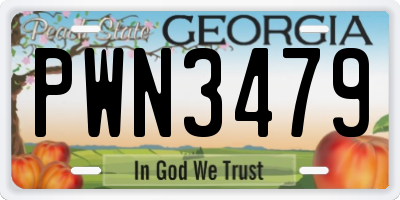 GA license plate PWN3479