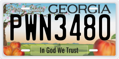 GA license plate PWN3480