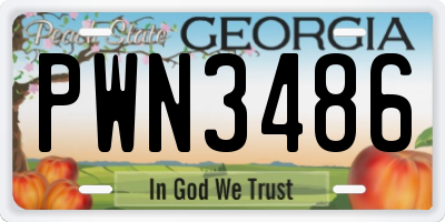 GA license plate PWN3486
