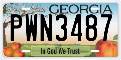 GA license plate PWN3487