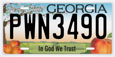 GA license plate PWN3490