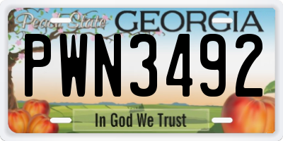 GA license plate PWN3492