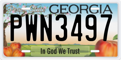 GA license plate PWN3497