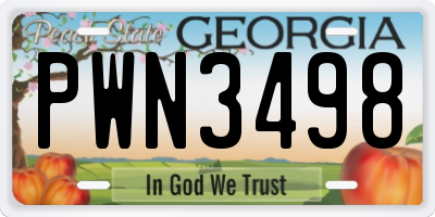 GA license plate PWN3498