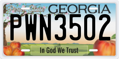 GA license plate PWN3502