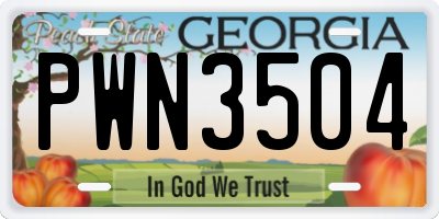 GA license plate PWN3504