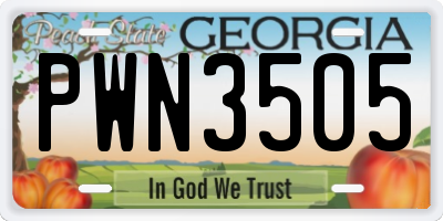 GA license plate PWN3505