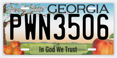 GA license plate PWN3506