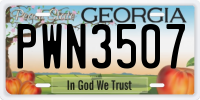 GA license plate PWN3507