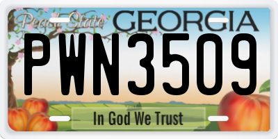 GA license plate PWN3509