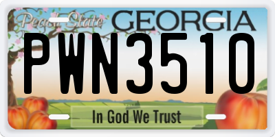 GA license plate PWN3510