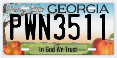 GA license plate PWN3511