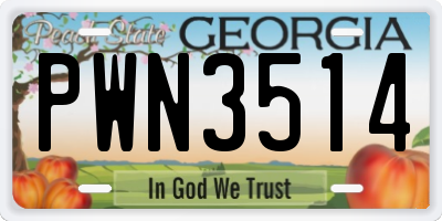 GA license plate PWN3514