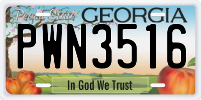 GA license plate PWN3516