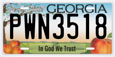 GA license plate PWN3518