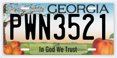 GA license plate PWN3521