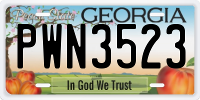 GA license plate PWN3523