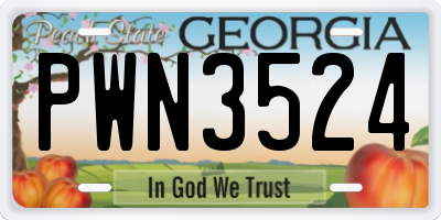 GA license plate PWN3524
